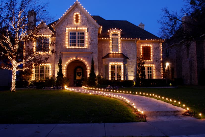 Tree and Shrub Lighting