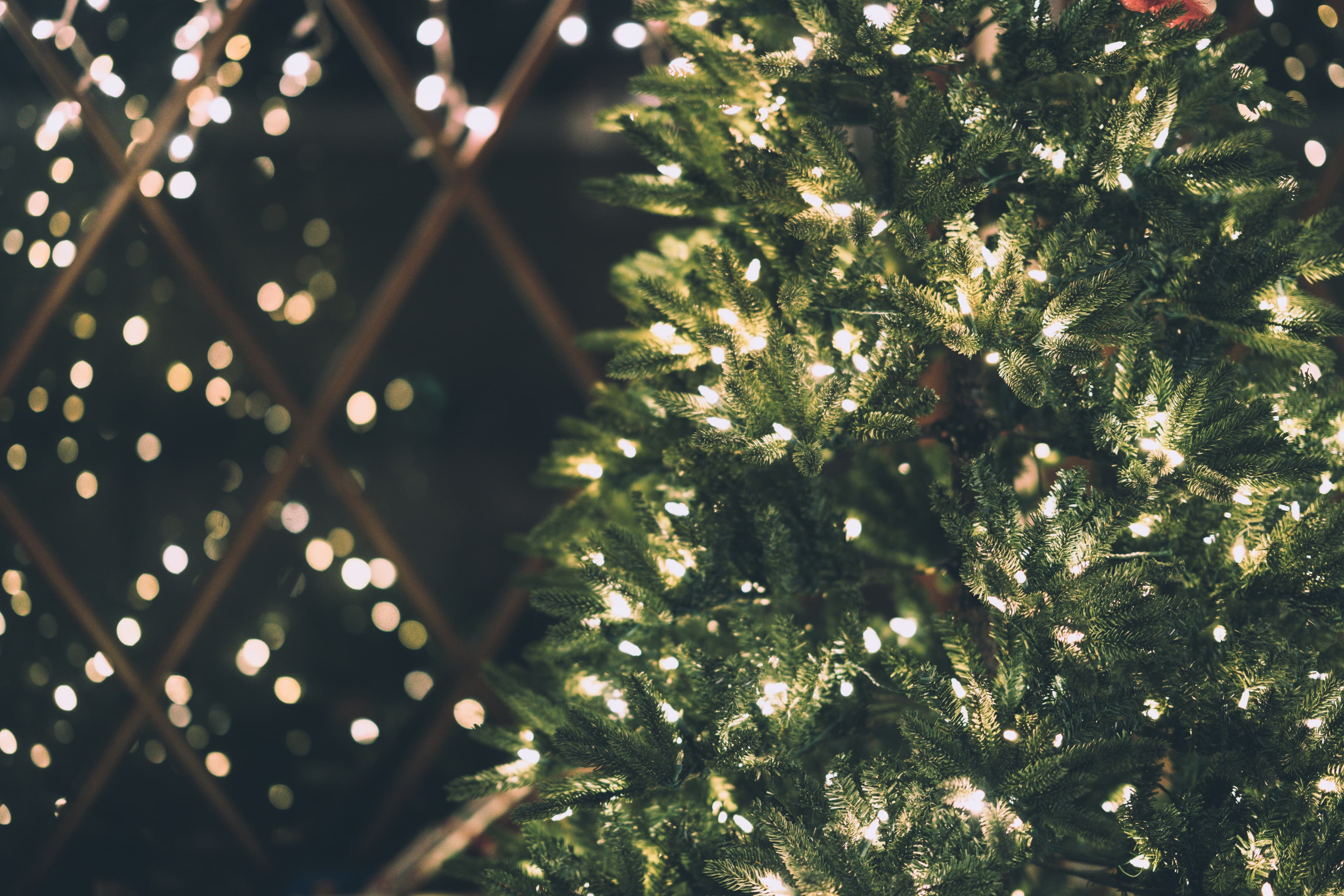 Holiday Lighting hero image